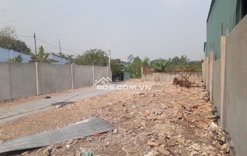 Cần bán gấp đất thổ cư 250m² sổ sẵn mặt tiền đường